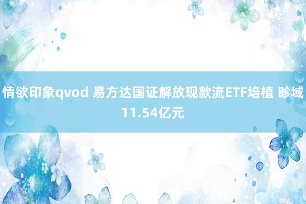 情欲印象qvod 易方达国证解放现款流ETF培植 畛域11.54亿元